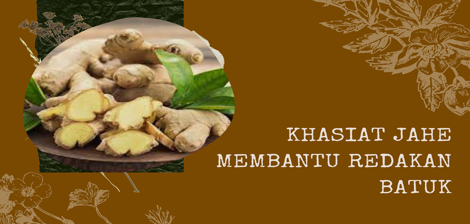 Khasiat Jahe Membantu Redakan Batuk